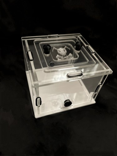 Arena akrylowa dla mrówek.