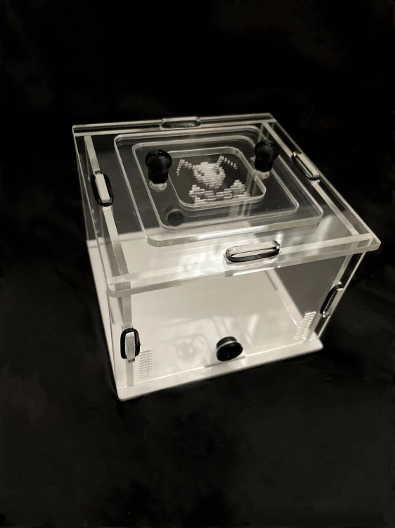 Arena akrylowa dla mrówek.