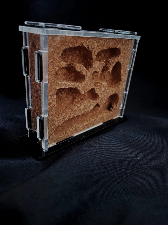 Akrylowe gniazdo dla mrówek z wkładem korkowym.