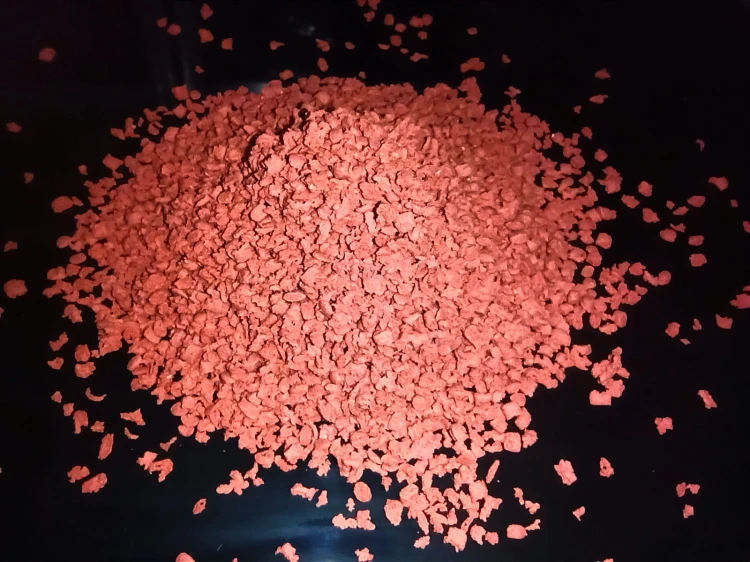 Tetra discus dla isopodów.