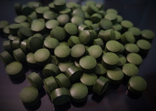 Chlorella w tabletkach dla isopodów.