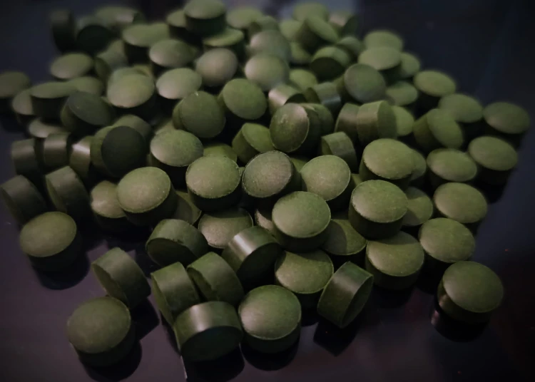 Chlorella w tabletkach dla isopodów.