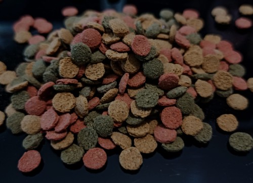 Mieszanka small wafers dla isopodów.