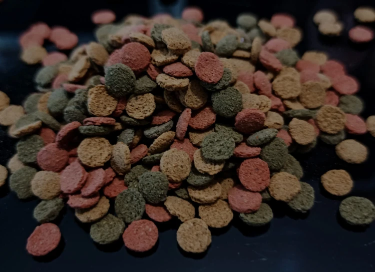 Mieszanka small wafers dla isopodów.