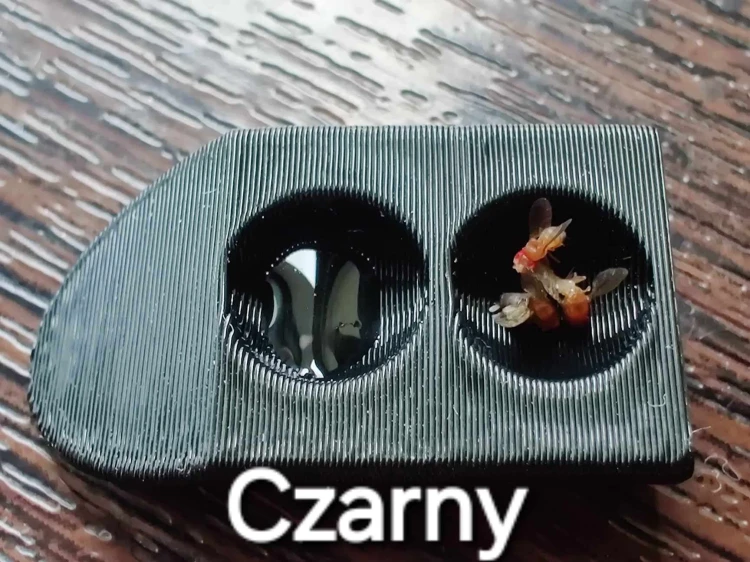 Mangeoire noire imprimée en 3D pour tube à essai avec deux alvéoles, goutte de liquide et insectes.