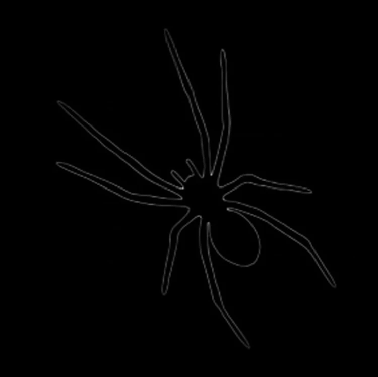 White vector spider outline on a black background.