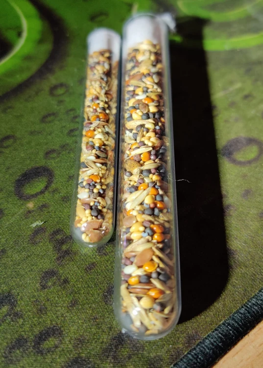Deux tubes à essai remplis d'un mélange varié de graines pour fourmis moissonneuses.