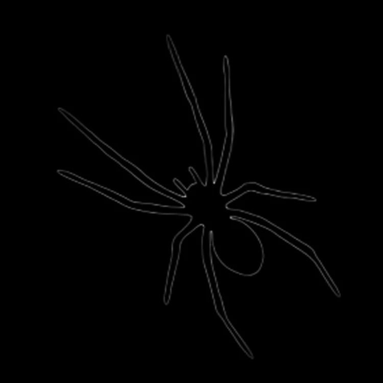 Dessin vectoriel du contour d'une araignée sur fond noir.