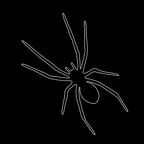Hapalopus guerreroi - dwarf tarantula on black background