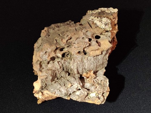 Płat chropowatej naturalnej kory dębu korkowego stanowiący dekorację i kryjówkę.