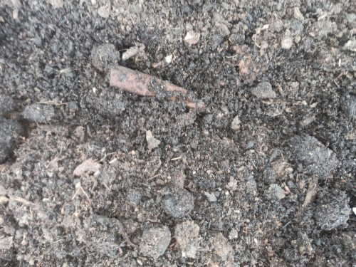 Podłoże worm casting.