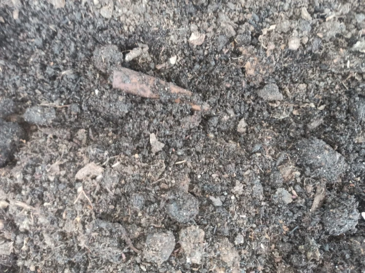 Podłoże worm casting.