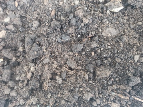 Podłoże worm casting.