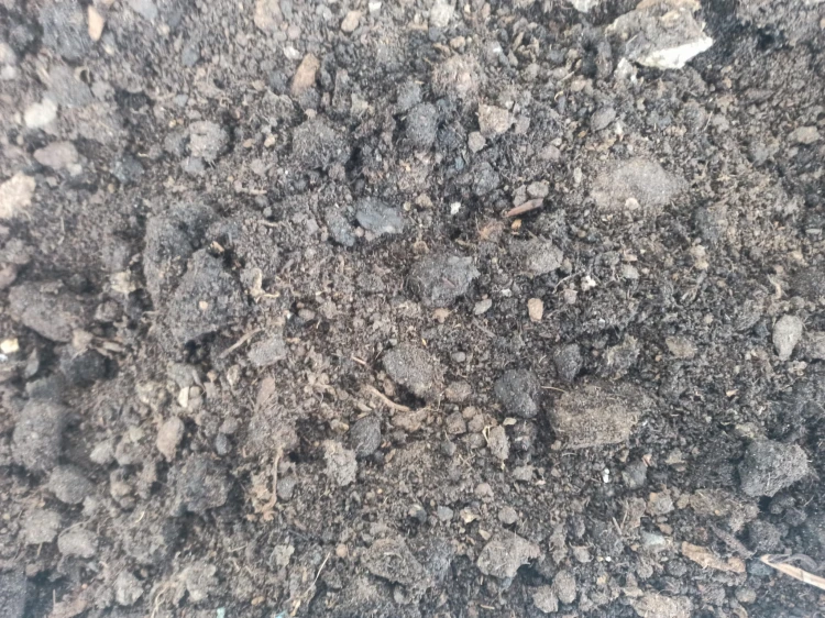 Podłoże worm casting.
