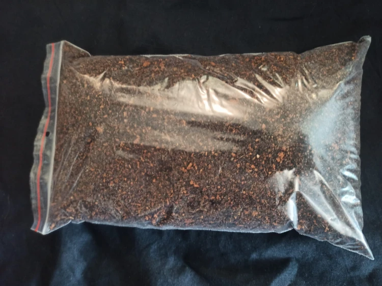 Paquet transparent de substrat d'élevage sombre et humide pour isopodes.