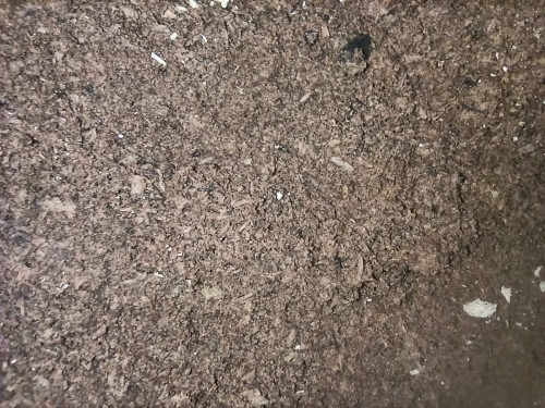 Flake soil podłoże bioaktywne.