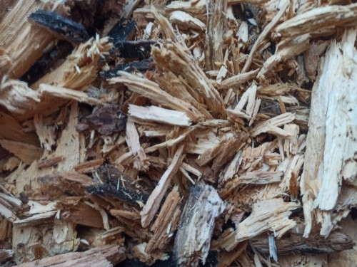 Bois pourri naturel broyé fournissant de la matière organique pour isopodes et coléoptères.