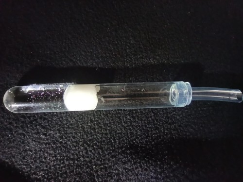 Adaptateur en silicone connecté à un tube à essai avec réserve d'eau pour fourmis.