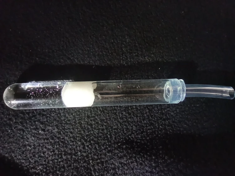 Adaptateur en silicone connecté à un tube à essai avec réserve d'eau pour fourmis.