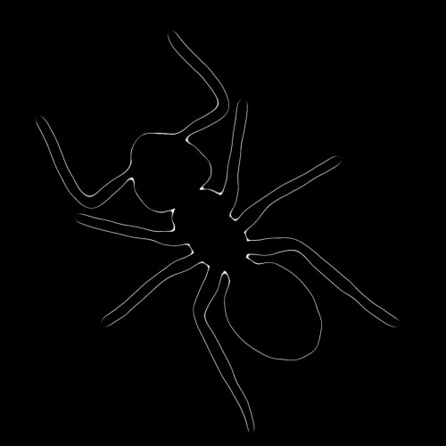Graphic showing contour of Monomorium chinense ant on black background