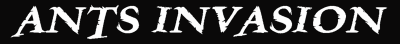 Ants Invasion - strona główna